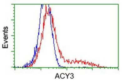 Flow Cytometry: ACY3 Antibody (OTI2D5) [NBP2-03512]