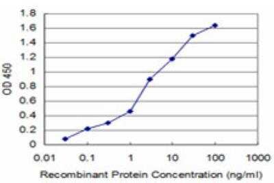 ELISA: ACYP2 Antibody (2H7) [H00000098-M06]