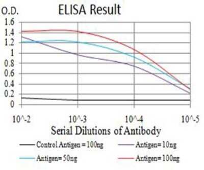 ELISA: ADAMTS1 Antibody (1G5D5) - BSA Free [NBP2-61808]