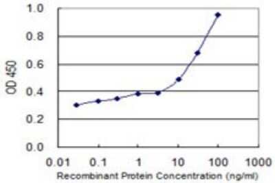 ELISA: ADP-ribosylarginine hydrolase Antibody (1F11) [H00000141-M04]
