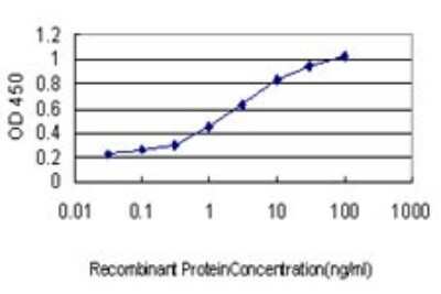 ELISA: ADRM1 Antibody (3C6) [H00011047-M01]