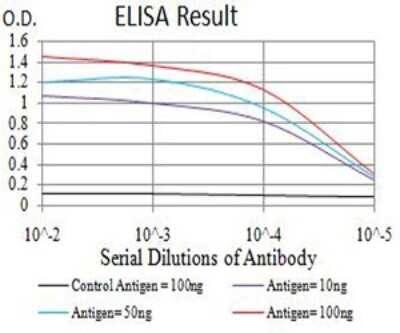 ELISA: AEBP2 Antibody (2D7B6) - BSA Free [NBP2-61822]