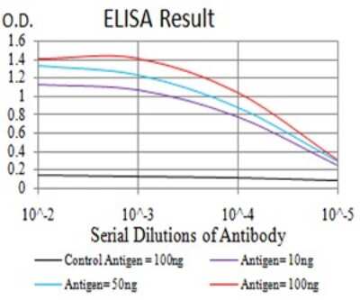 ELISA: AFAP1L2 Antibody (2H6D1) - BSA Free [NBP2-61836]