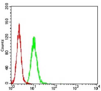 ELISA: AFAP1L2 Antibody (2H6D1) - BSA Free [NBP2-61836]