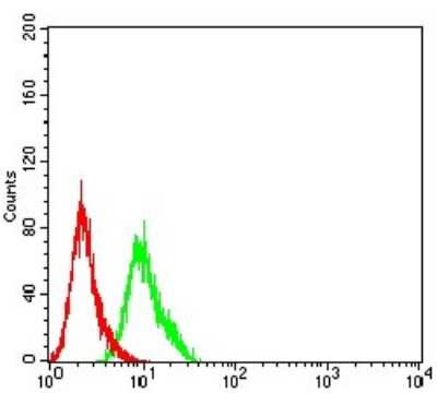 ELISA: AFAP1L2 Antibody (4E12D7) - BSA Free [NBP2-61837]