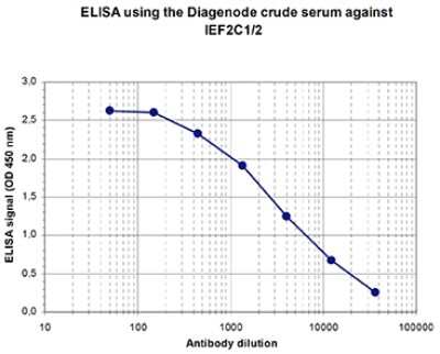 ELISA: AGO1/2 Antibody [NBP3-18654]