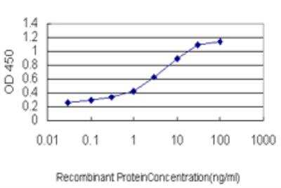 ELISA: AHCYL1 Antibody (5D6) [H00010768-M05]