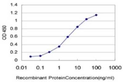 ELISA: AHR Antibody (3B12) [H00000196-M02]