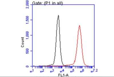 Flow Cytometry: AIF-1/Iba1 Antibody [NBP2-16908]