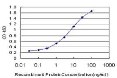ELISA: AKAP4 Antibody (4C10) [H00008852-M02]