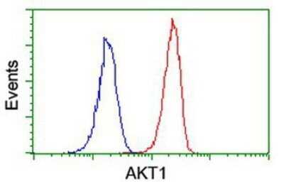 Flow Cytometry: AKT1 Antibody (OTI4D6) - Azide and BSA Free [NBP2-70135]