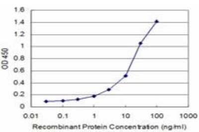 ELISA: AKT2 Antibody (1D9) [H00000208-M03]