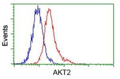 Flow Cytometry: AKT2 Antibody (OTI4H7) - Azide and BSA Free [NBP2-70146]