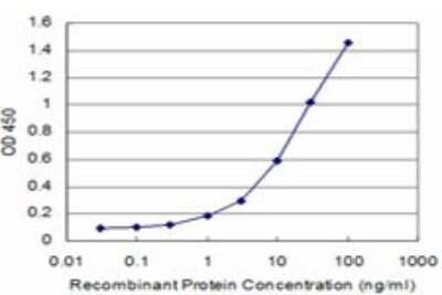ELISA: AKT2 Antibody (X1) [H00000208-M06]