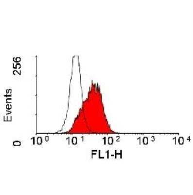 Flow Cytometry: ALCAM/CD166 Antibody (3A6) [NBP3-11402]
