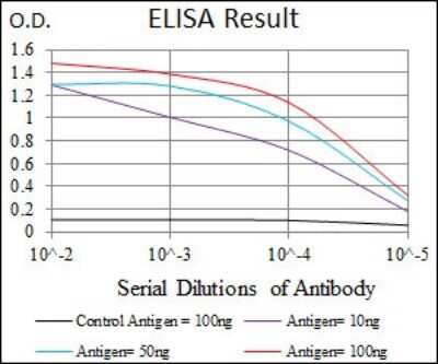 ELISA: ALCAM/CD166 Antibody (5B3) - BSA Free [NBP2-22211]