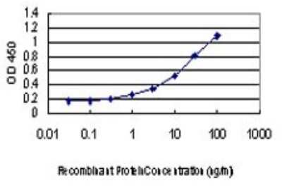 ELISA: AMPK alpha 1 Antibody (1G4) [H00005562-M01]