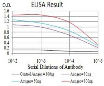 ELISA: AP-2 beta/TFAP2B Antibody (6F7G1) - BSA Free [NBP2-61858]