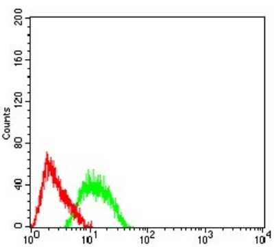 ELISA: AP-2 beta/TFAP2B Antibody (6F7G1) - BSA Free [NBP2-61858]