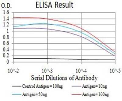 ELISA: APBA2 Antibody (1C12A4) - BSA Free [NBP2-61881]