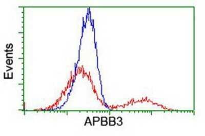 Flow Cytometry: APBB3 Antibody (OTI5G3) - Azide and BSA Free [NBP2-71585]