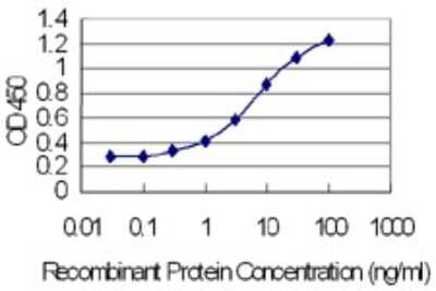 ELISA: ODAM Antibody (2F8) [H00054959-M02]