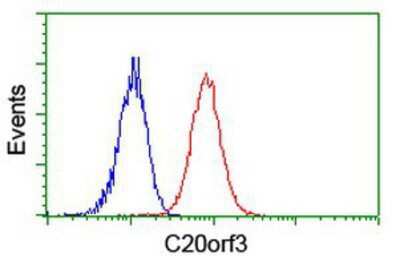Flow Cytometry: APMAP Antibody (OTI4F6) [NBP2-01716]