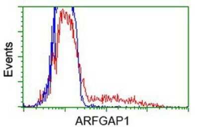 Flow Cytometry: ARFGAP1 Antibody (OTI1F6) - Azide and BSA Free [NBP2-72013]