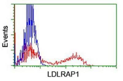 Flow Cytometry: ARH Antibody (OTI7E11) [NBP2-01435]