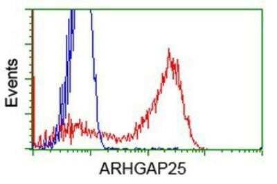 Flow Cytometry: ARHGAP25 Antibody (OTI2D5) [NBP2-03024]