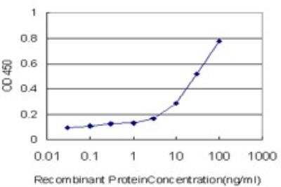 ELISA: ARHGEF1 Antibody (1H4) [H00009138-M01]