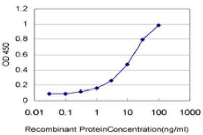 ELISA: ARHGEF1 Antibody (4C4) [H00009138-M03]