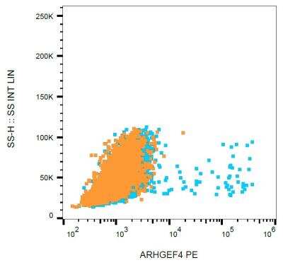 Flow (Intracellular): ARHGEF4 Antibody (ARHGEF-08) [NBP2-62217]