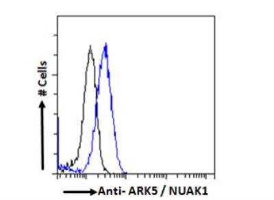 Flow Cytometry: ARK5/NUAK1 Antibody [NBP1-36937]