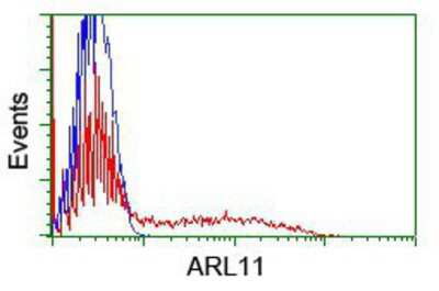 Flow Cytometry: ARL11 Antibody (OTI1A5) [NBP2-01470]