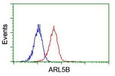 Flow Cytometry: ARL5B Antibody (OTI2D7) - Azide and BSA Free [NBP2-72463]