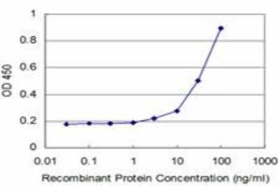 ELISA: ARX Antibody (1G11) [H00170302-M03]