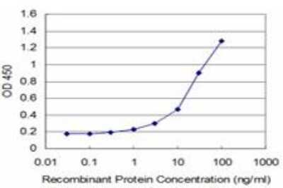 ELISA: ARX Antibody (4H8) [H00170302-M04]