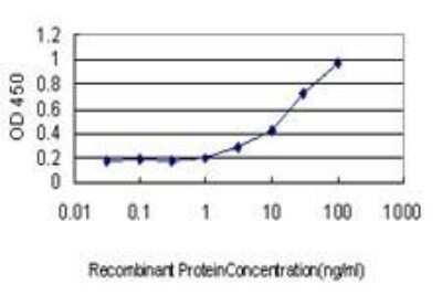 ELISA: ASCL1/Mash1 Antibody (7E11) [H00000429-M01]