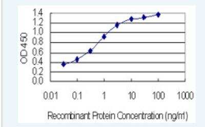 ELISA: ASH1 Antibody (4G12) [H00055870-M01-100ug]