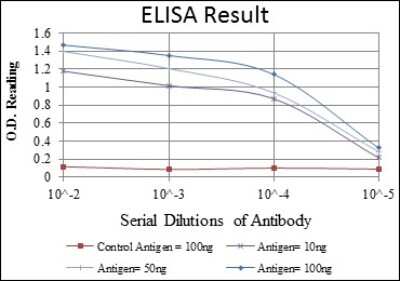 ELISA: ASK1 Antibody (2E4) - BSA Free [NBP2-37592]
