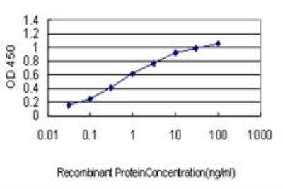 ELISA: ATF4 Antibody (2B3) [H00000468-M01]