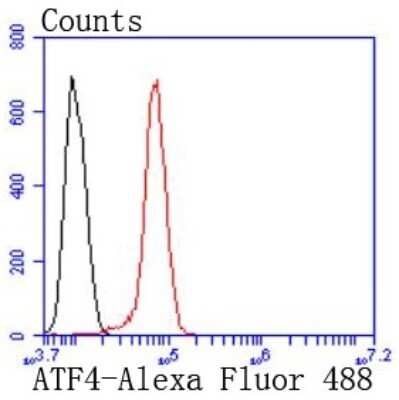 Flow Cytometry: ATF4 Antibody (SD20-92) [NBP2-67766]