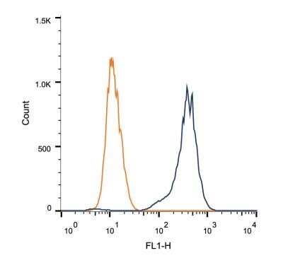 Flow Cytometry: ATF6 Antibody (70B1413.1) - Azide and BSA Free [NBP2-80583]