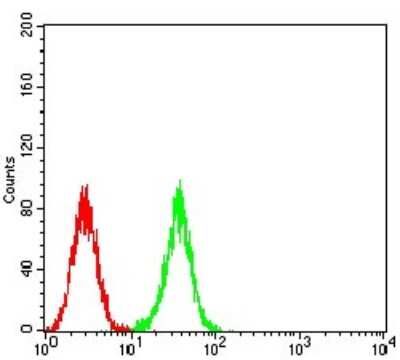 Immunocytochemistry/ Immunofluorescence: ATG2A Antibody (4H8G3) - BSA Free [NBP2-61689]