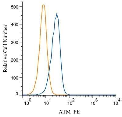 Flow Cytometry: ATM Antibody [NB100-104]