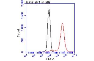 Flow Cytometry: ATP6V1A Antibody (GT3846) [NBP3-13540]
