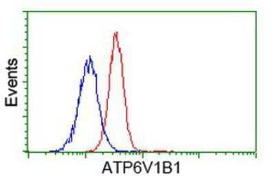 Flow Cytometry: ATP6V1B1 Antibody (OTI1H6) [NBP2-00580]