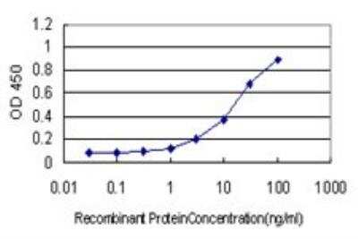 ELISA: ATR Antibody (3F2) [H00000545-M01]