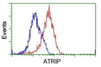 Flow Cytometry: ATRIP Antibody (OTI5E7) - Azide and BSA Free [NBP2-72271]
